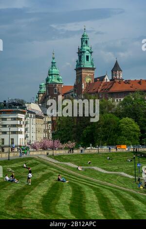 Kathedrale auf dem Wawel in Krakau, Polen Stockfoto