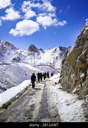 Touristische Expedition auf der Suche nach Schneeleoparden im Ulley Valley. Ladakh. Himalaya. Indien Stockfoto