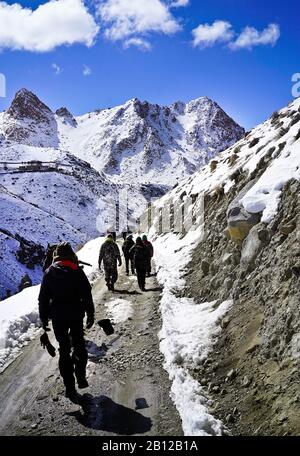 Touristische Expedition auf der Suche nach Schneeleoparden im Ulley Valley. Ladakh. Himalaya. Indien Stockfoto