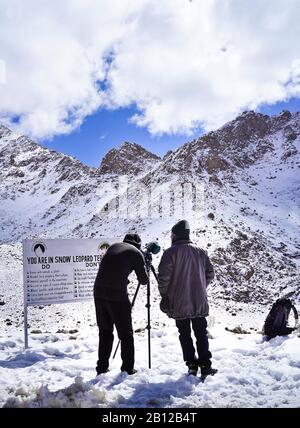 Touristische Expedition auf der Suche nach Schneeleoparden im Ulley Valley. Ladakh. Himalaya. Indien Stockfoto