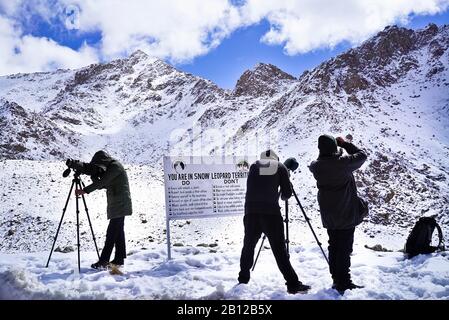 Touristische Expedition auf der Suche nach Schneeleoparden im Ulley Valley. Ladakh. Himalaya. Indien Stockfoto