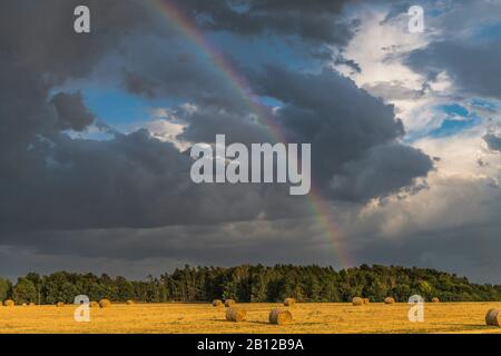 Gewitter mit Regenbogen über Stoppeln Feld, Thüringen, Deutschland Stockfoto