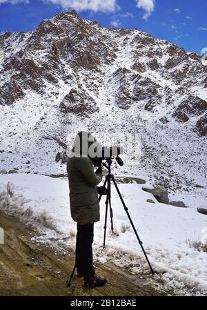 Touristische Expedition auf der Suche nach Schneeleoparden im Ulley Valley. Ladakh. Himalaya. Indien Stockfoto