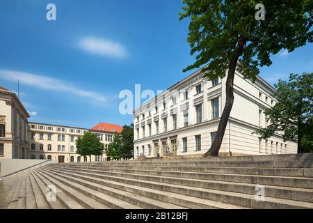 Universitätsplatz der Martin-Luther-Universität Halle-Wittenberg in Halle/Saale, Sachsen-Anhalt, Deutschland Stockfoto