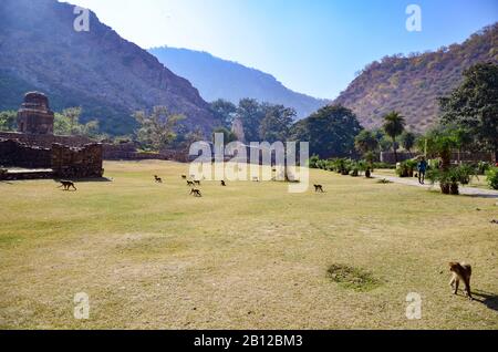 Ruinen von Bhangarh Fort aus dem 17. Jahrhundert im Alwar Village in Rajasthan, Indien Stockfoto