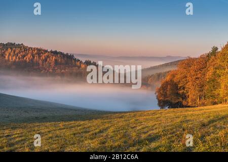 Blick ins Saaletal in der Nähe von Magersdorf, Herbst, Nebel, Thüringen, Deutschland Stockfoto