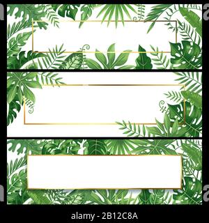 Tropische Blätter Banner. Exotische Palmblatt-Banner, natürliche Kokospalmen und Dschungelpflanzen Vektor-Hintergrund-Design Set Stock Vektor