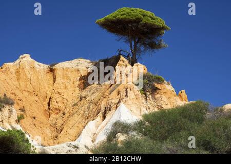 Praia da Falésia (Praia do Barranco das belharucas), Vilamoura, Quarteira, Faro, Algarve, Portugal Stockfoto