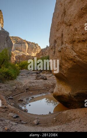 Im Tuff Canyon im Big Bend National Park in Westtexas Stockfoto