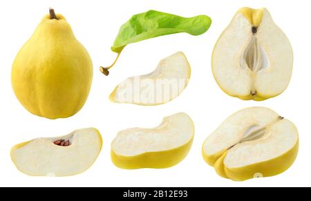 Isolierte Schnittquince-Kollektion. Ganze Quinkfrucht und unterschiedlich geformte Stücke isoliert auf weißem Hintergrund mit Beschneidungspfad Stockfoto