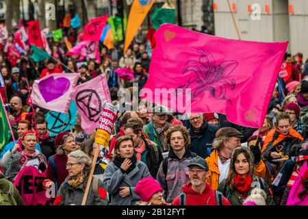 London, Großbritannien. Februar 2020. Extinction Rebellion XR Genug ist genug - Gemeinsam marschieren wir. März und Kundgebung, um den Klimaschutz hervorzuheben und gegen die Polizei, die sich auf friedliche Demonstranten festklemmt. Credit: Guy Bell/Alamy Live News Stockfoto