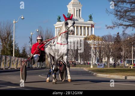 Moskau, Russland. Februar 2020 Teilnehmer des ersten VDNH-Messezentrums City Races für Pferde der Trettier-Rasse Orlov. August 1834 fand das erste Rennen in Moskau auf dem Khodynka-Feld statt: Zwölf Pferde nahmen an zwei Lauftagen Teil Stockfoto