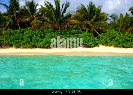 Blick auf einen wunderschönen tropischen Strand auf der Insel Thoddoo, Malediven Stockfoto