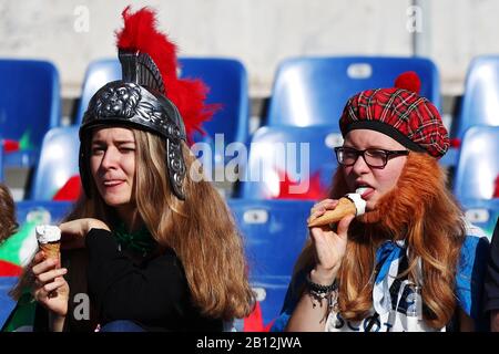 Rom, Italien. Februar 2020. Anhänger Schottlands beim Guinness Six Nations 2020, rugby-union-Spiel zwischen Italien und Schottland am 22. Februar 2020 im Stadio Olimpico in Rom, Italien - Foto Federico Proietti/ESPA-Images Credit: European Sports Photographic Agency/Alamy Live News Stockfoto