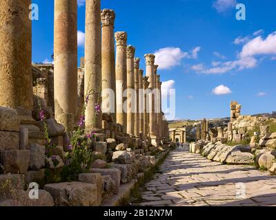 Columns Street Cardo Maximus in der alten Stadt Jerash, Jordanien, Naher Osten Stockfoto