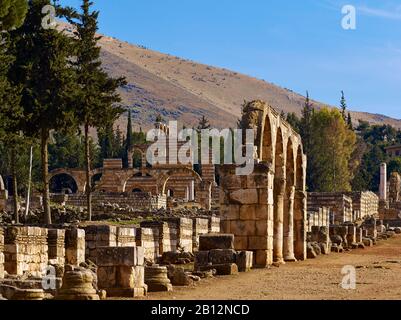 Kolonnadenstraße der antiken Stadt Anjar so Haoush Mousa, Libanon, Naher Osten Stockfoto