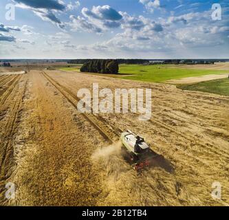 Der Landwirt erntet in Litauen mit dem Mähdrescher Weizen Stockfoto