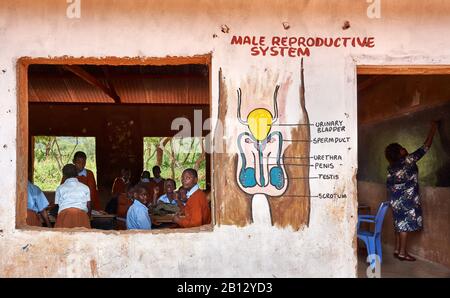 Biologieunterricht in einem Klassenzimmer einer Grundschule in der Nähe Von Voi im Süden Kenias Stockfoto