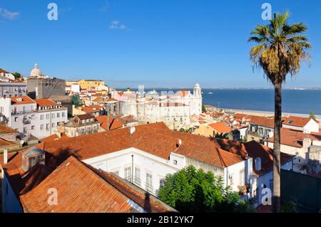 Blick auf den Dom von Igreja de Santa Engrácia, Lissabon, Portugal, Europa Stockfoto