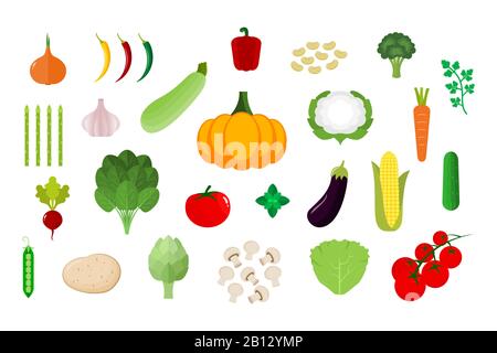 Gemüseset. Verschiedene bunte Gemüsesorten. Frische Bauernprodukte isoliert auf weißem Hintergrund. Gesunde, vegetarische, vegane Ernährung. Vektor Stock Vektor