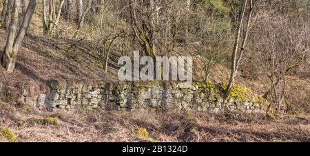 Alte überwucherte Steinmauer an einem Hang in Wald Stockfoto