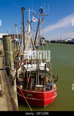 Garnelenboote im Hafen von Cuxhaven, Niedersachsen, Deutschland Stockfoto