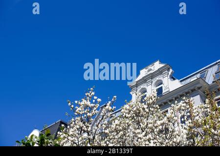 Wohnbau, Jugendstil, Luxuswohnungen, Hansestadt Hamburg, Deutschland Stockfoto