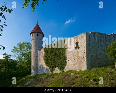 Haineck Ruinen im Nationalpark Nazza Hainich, Mihla, Wartburg, Thüringen, Deutschland Stockfoto