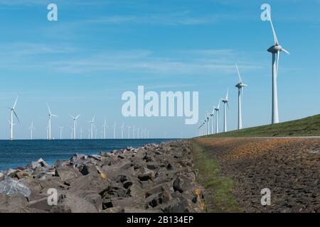 Windmühlen für die holländische Küste auf dem Land und im Wasser Stockfoto