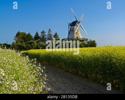 Windmühle Fortuna,Angeln im Freilichtmuseum,Unewatt,Kreis Schleswig-Flensburg,Schleswig-Holstein,Deutschland Stockfoto