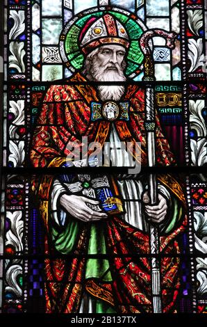 Kirchenfenster der Heiligen Fachtna von Ross in der Honan-Kapelle in Cork Stockfoto