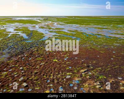 Nordfriesisches Wattenmeer, Hooge, Nordfriesland, Schleswig-Holstein, Deutschland Stockfoto