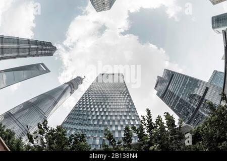 Architektur, Lujiazui, Pudong, Shanghai, China Stockfoto