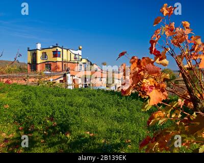 Hundertwasserhaus, Weingehirn in Untereisenheim, Unterfranken, Bayern, Deutschland Stockfoto