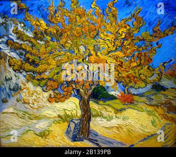 Das Mulberry Tree Painting von Vincent van Gogh - Sehr hohe Auflösung und hochwertige Bilder Stockfoto