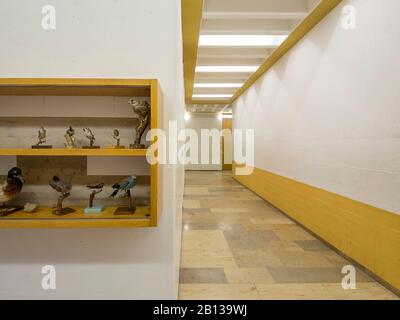 Realschule Pegnitz, Oberfranken, Bayern, Deutschland, Europa Stockfoto