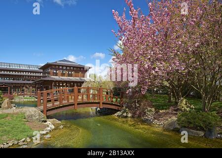 Japanischer Garten in Bad Langensalza, Thüringen, Deutschland, Europa Stockfoto