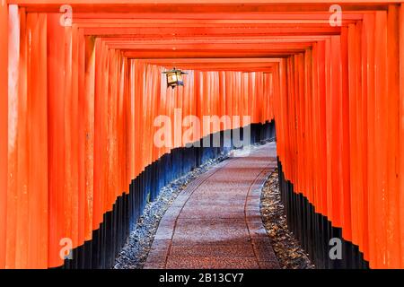 Endlose Arkade von roten Torii-Toren aus Holz im buddhistischen Tempel der Stadt Kyoto, Japan. Stockfoto