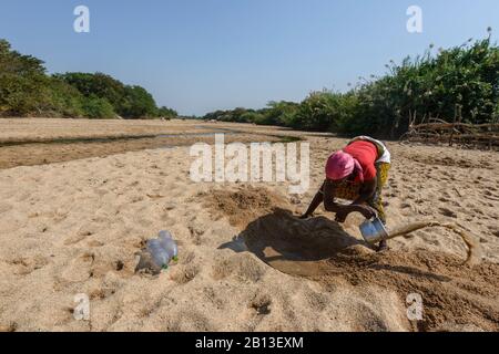 Auf der Suche nach Wasser an einem Flussbett des südlichen angolanischen Afrikas Stockfoto