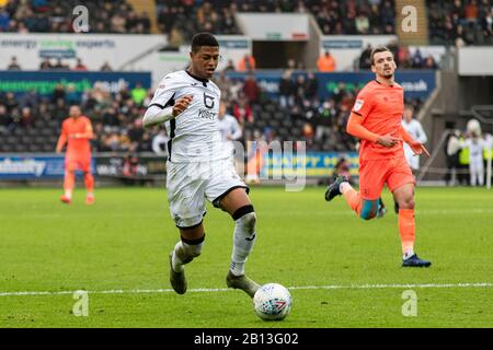 Swansea, Großbritannien. Februar 2020. Rhian Brewster aus Swansea City im Einsatz gegen Huddersfield Town. EFL Skybet Championship Match, Swansea City / Huddersfield Town im Liberty Stadium in Swansea, South Wales am Samstag, 22. Februar 2020. Dieses Bild darf nur für redaktionelle Zwecke verwendet werden. Nur redaktionelle Nutzung, Lizenz für kommerzielle Nutzung erforderlich. Keine Verwendung bei Wetten, Spielen oder einer einzelnen Club-/Liga-/Spielerpublikationen. PIC von Lewis Mitchell/Andrew Orchard Sportfotografie/Alamy Live News Credit: Andrew Orchard Sportfotografie/Alamy Live News Stockfoto