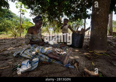 Frau bereitet Essen vor, Demokratische Republik Kongo, Afrika Stockfoto