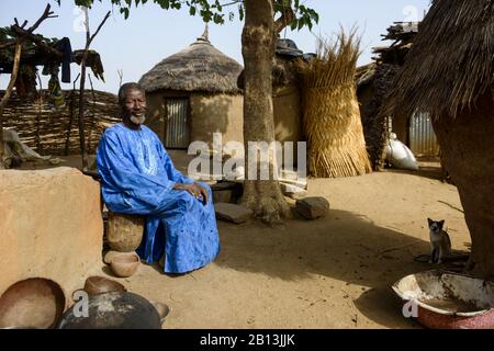 Ein Burkinabe Mann in seinem Dorf, Kürbisse schneiden, um sie in Trink- und Esscontainer zu verwandeln, Burkina Faso Stockfoto