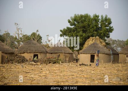 Landleben in einem Fulani-Dorf der Sahelzone im nordöstlichen Burkina Faso Stockfoto