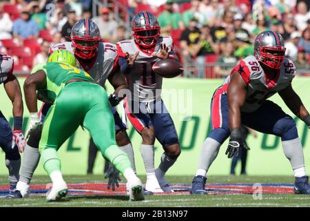 Februar 2020: Houston Roughnecks Quarterback P.J. Walker (11) erhält den Snap während des XFL-Spiels zwischen den Houston Roughnecks und den Tampa Bay Vipers, das im Raymond James Stadium in Tampa, Florida ausgetragen wird. Andrew J. Kramer/CSM Stockfoto