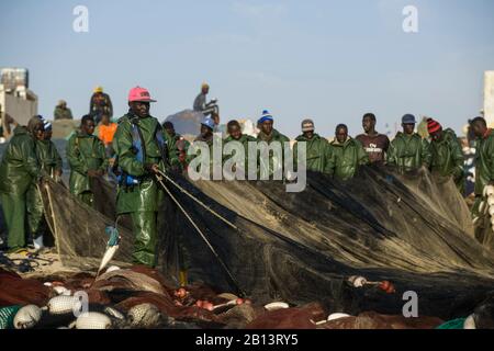 Fischer, Tretboote, Boote auf dem berühmten Fischmarkt von Nouakchott Stockfoto
