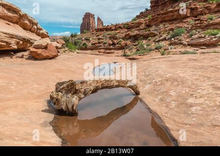 Courthouse Towers, Turm von Babel, Die Orgel, Arches National Park, Utah, USA Stockfoto