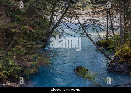 Kanal des Robson River im Mount Robson Provincial Park, British Columbia, Kanada Stockfoto