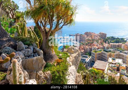 Blick von den exotischen Gärten am Hang des Mittelmeers und der Stadt Monte Carlo, Monaco. Stockfoto