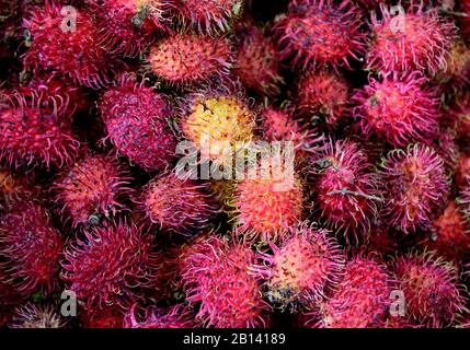 Kolumbianische Rambutan-Frucht, frisch geerntete süße, tropische reife Rambutan-Frucht in einem Bauernmarkt in Kolumbien, Südamerika Stockfoto