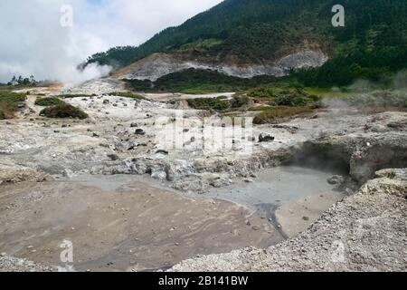 Heiße Quellen, Fumarolen und Solfatare, Sikidang-Krater, Provinz Jawa Tengah, Java Island, Indonesien Stockfoto